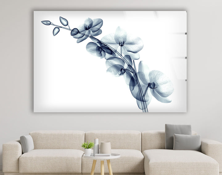 X-ray Blue Orchide Glass Wall Art, photo print on glass, prints on glass wall art