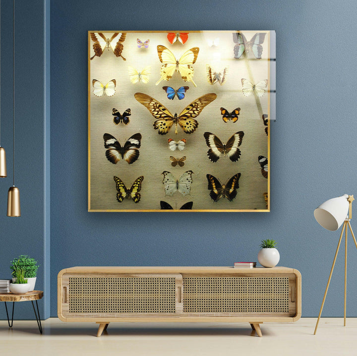 Butterfly Collection Glass Wall Art custom glass pictures, glass art prints