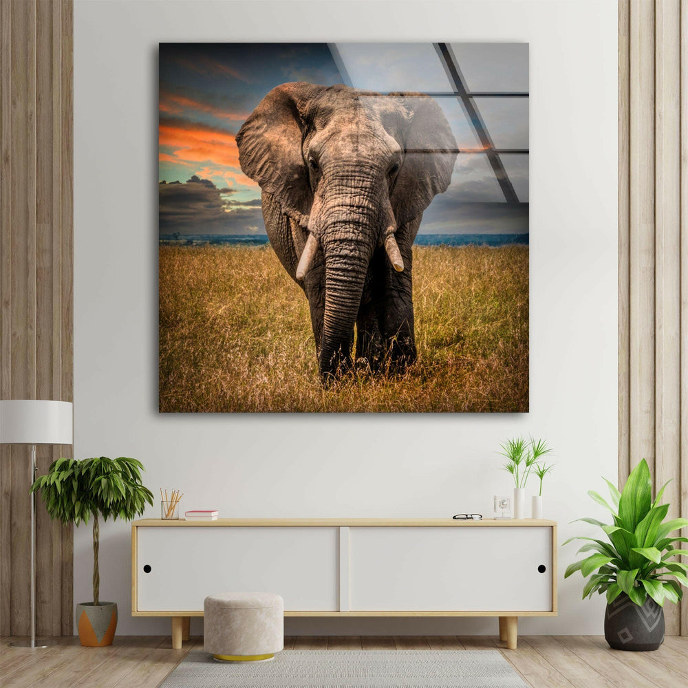 Majestic Elephant Glass Wall Art             glass wall decor, glass wall art decor