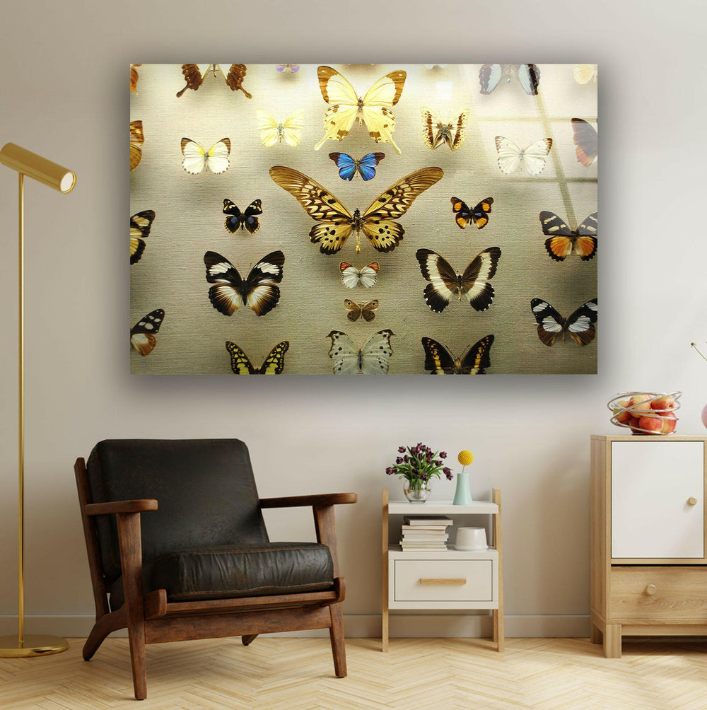 Butterfly Collection Glass Wall Art             glass wall decor, glass wall art decor