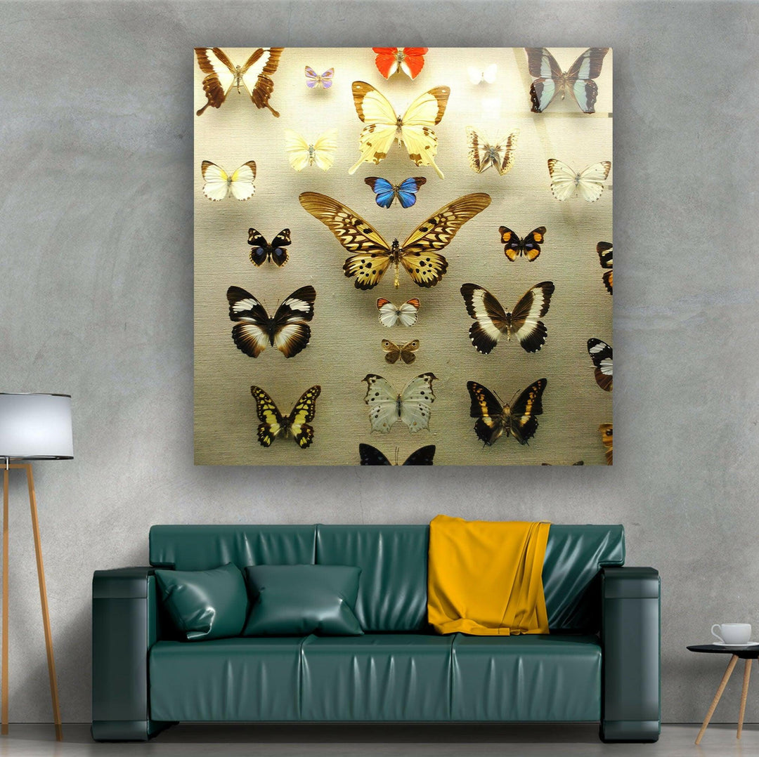 Butterfly Collection Glass Wall Art glass image printing, glass prints from photos