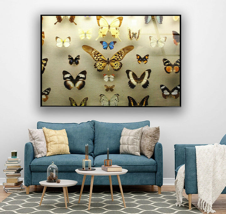 Butterfly Collection Glass Wall Art glass pictures for Wall, glass prints wall art