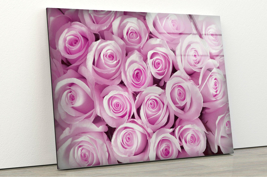 Pink Bud Roses Glass Wall Art, custom glass pictures, glass art prints
