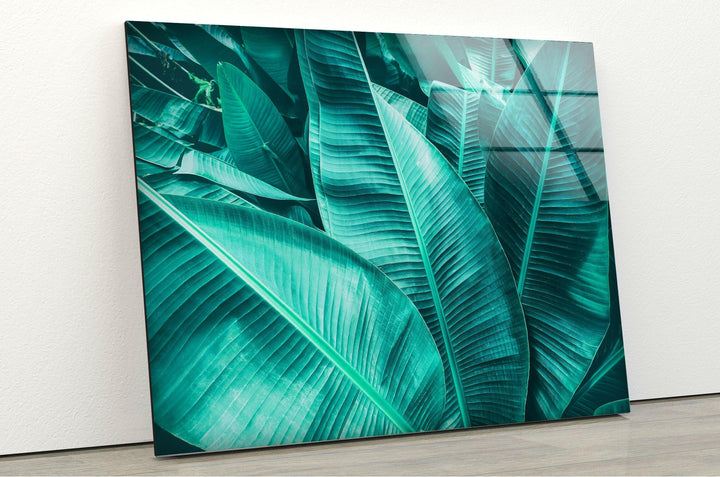 Tropical Banana Leaf Glass Wall Art, photo print on glass, prints on glass wall art