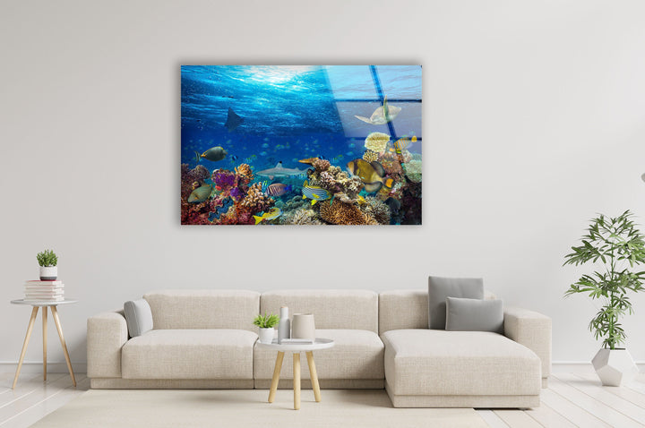 Tropic Under Ocean Glass Wall Art glass pictures for Wall, glass prints wall art