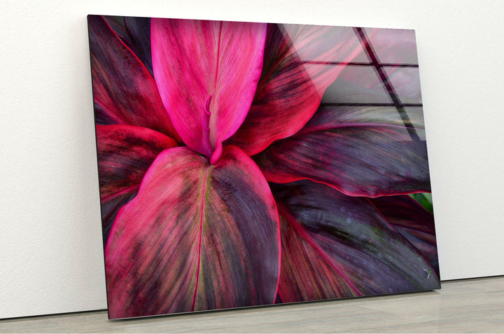 Pink Botanical Leaves Glass Wall Art, art glass wall art, glass wall art pictures