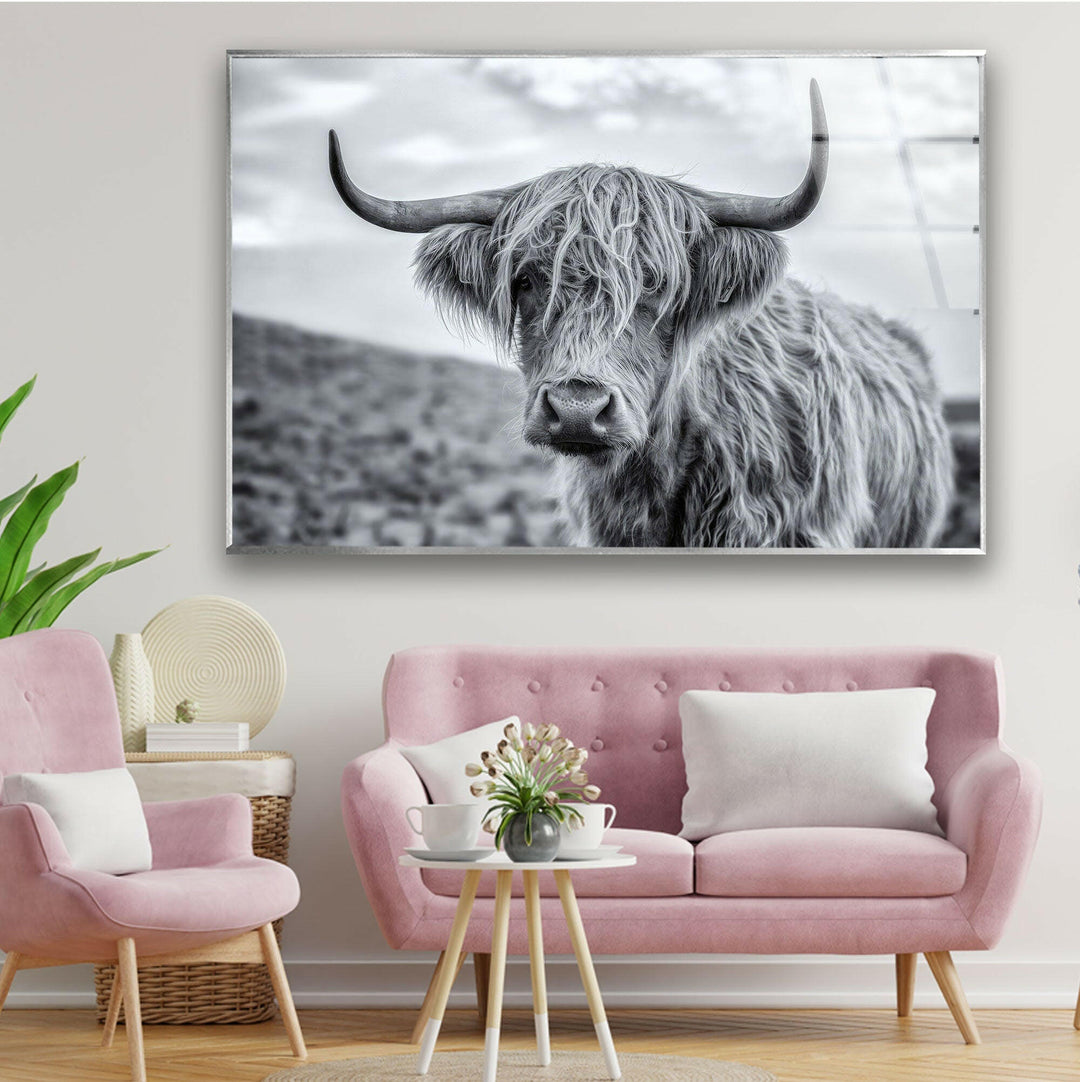 Scottish Highland Cow Glass Wall Art print picture on glass, Tempered Glass Wall Art