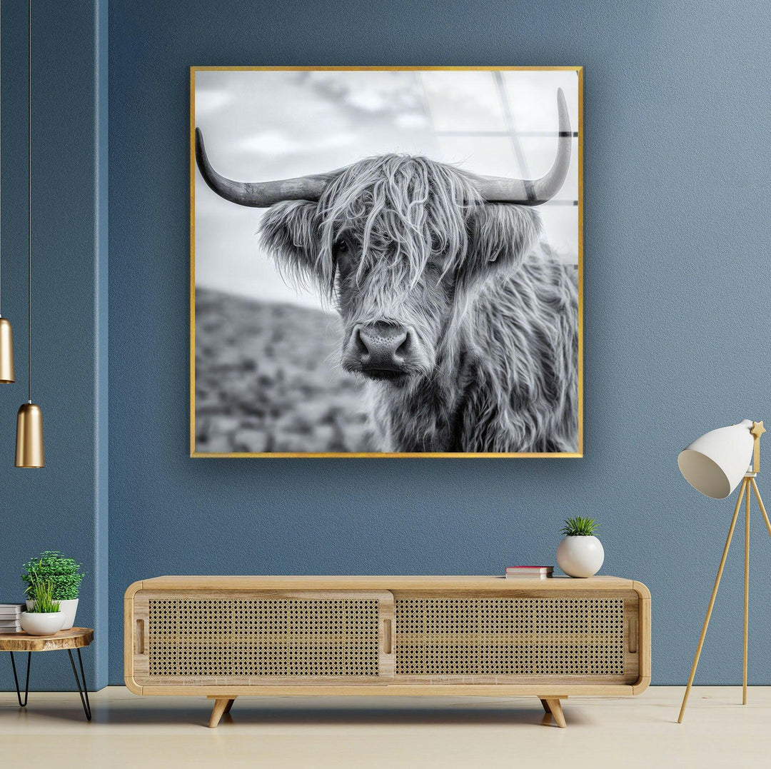 Scottish Highland Cow Glass Wall Art custom glass photo prints, large glass prints