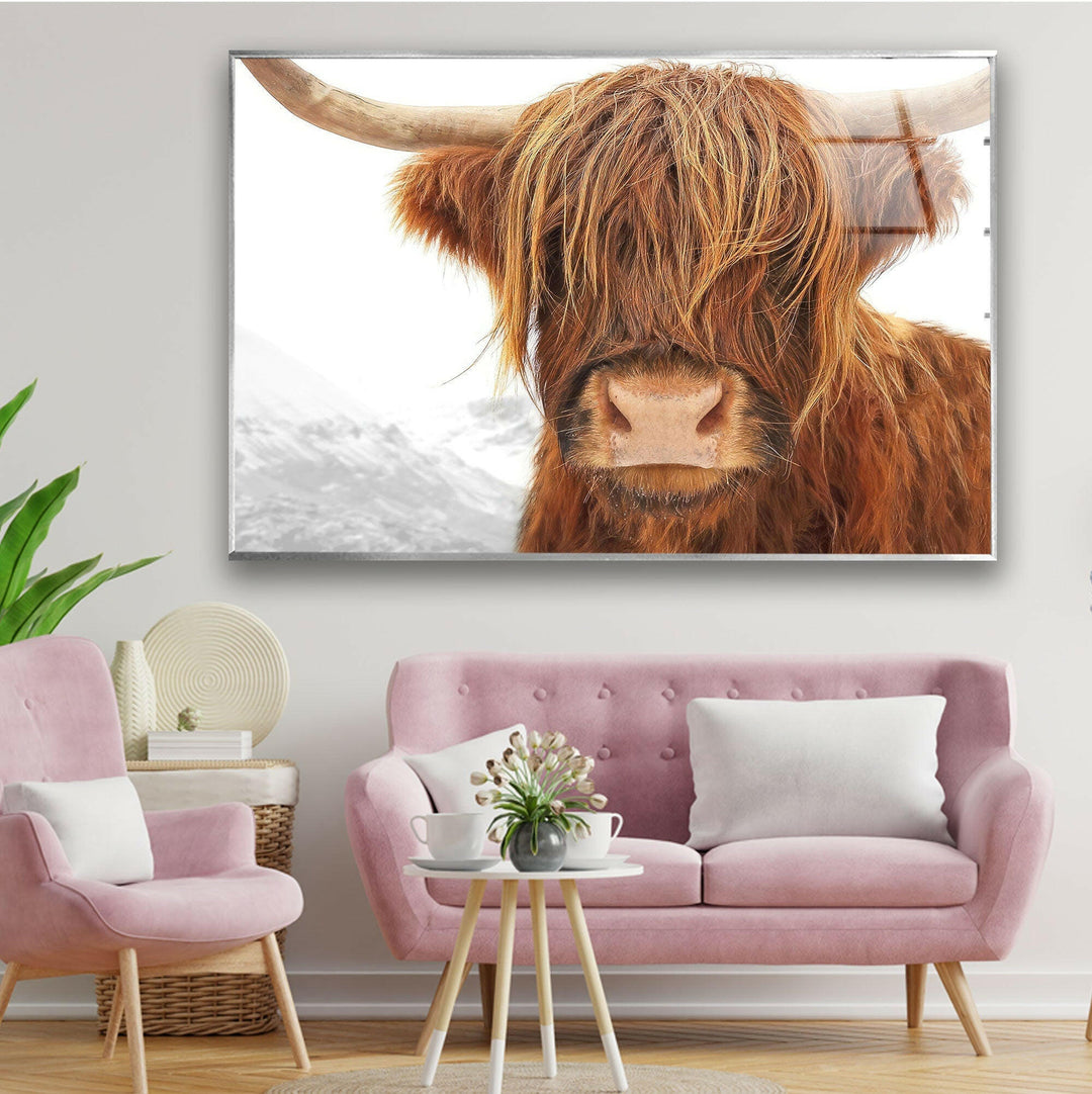 Highland Scotland Cow Glass Wall Art photo print on glass, prints on glass wall art