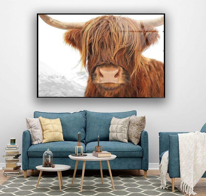 Highland Scotland Cow Glass Wall Art custom glass photo prints, large glass prints