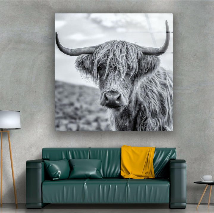 Scottish Highland Cow Glass Wall Art print on glass, glass printed photos