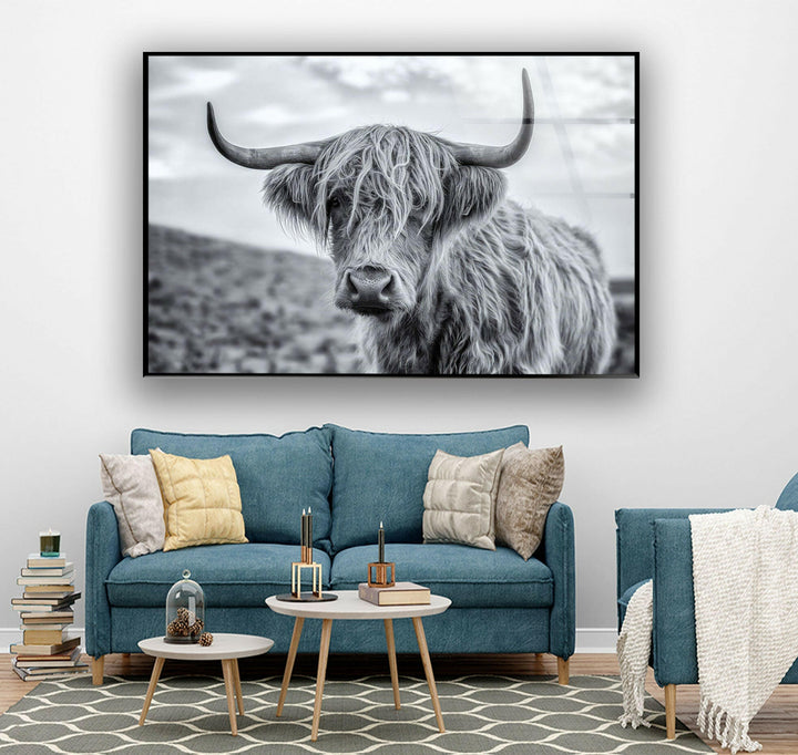 Scottish Highland Cow Glass Wall Art custom glass pictures, glass art prints