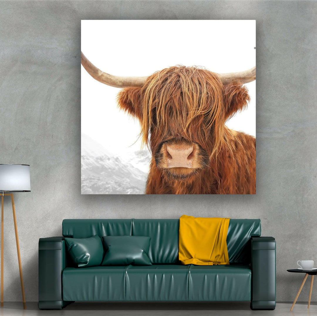 Highland Scotland Cow Glass Wall Art glass photo prints, glass picture prints