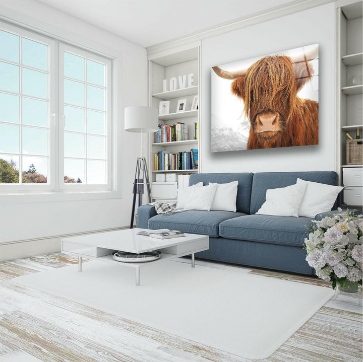 Highland Scotland Cow Glass Wall Art large glass photo prints, glass wall photos