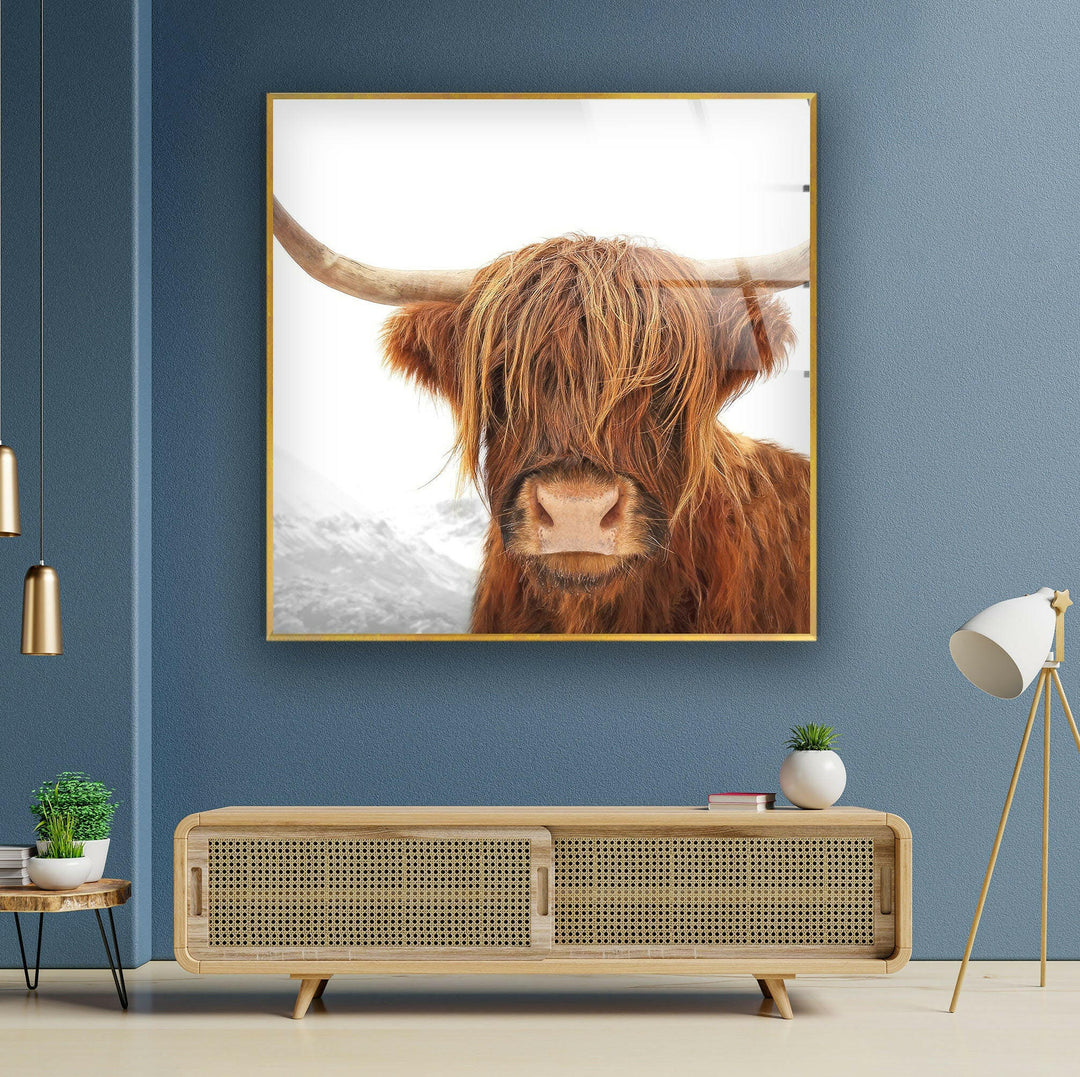 Highland Scotland Cow Glass Wall Art Glass Printing Wall Art, Print photos on glass