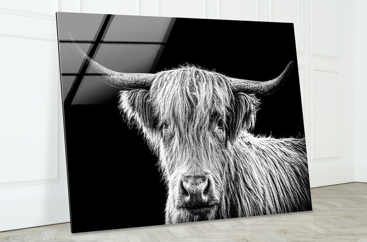 Highland Scottish Cow Glass Wall Art art glass wall art, glass wall art pictures