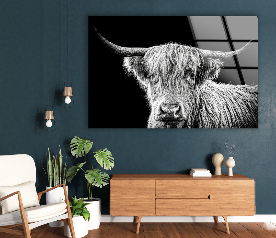 Highland Scottish Cow Glass Wall Art glass image printing, glass prints from photos