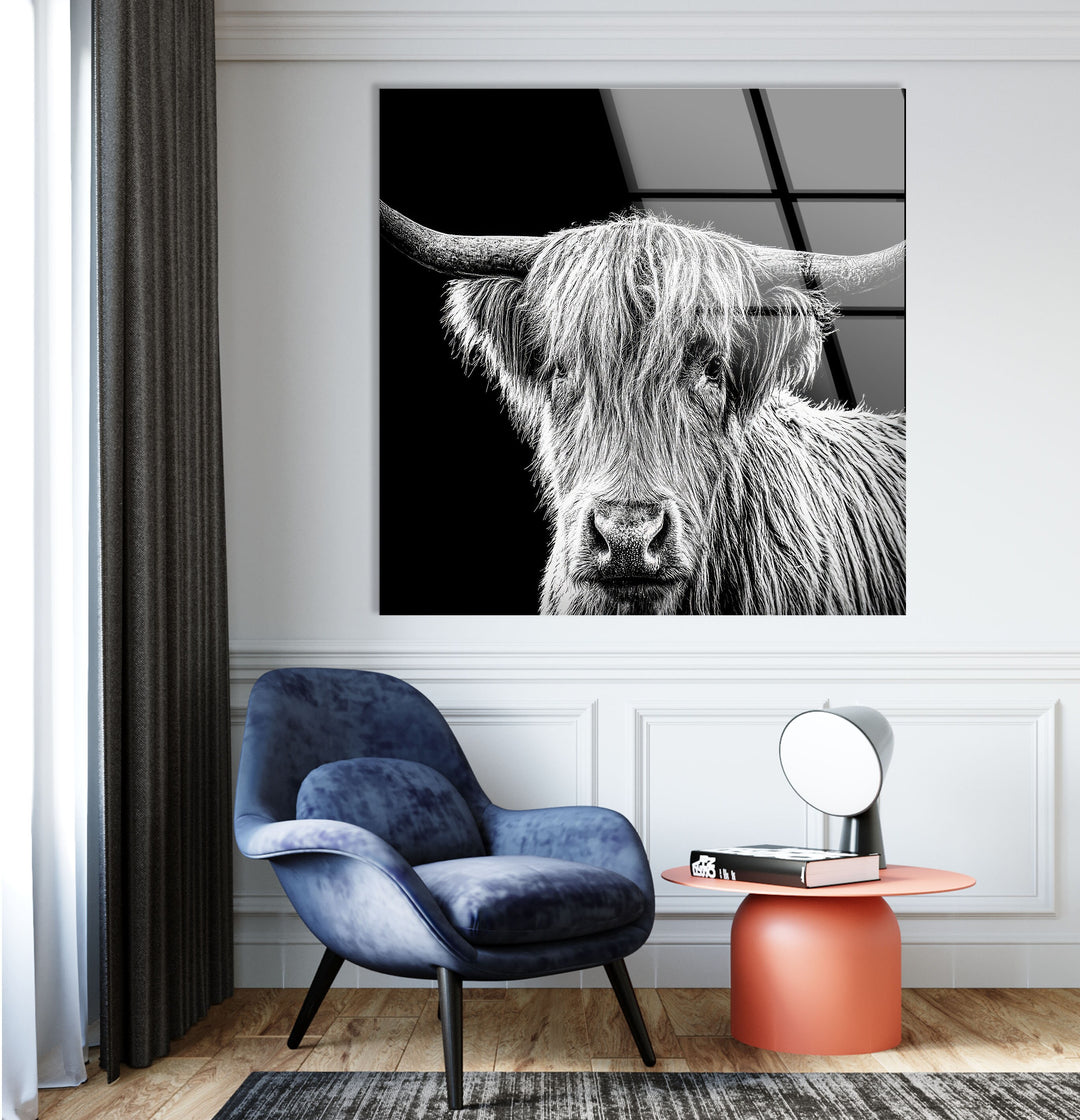 Highland Scottish Cow Glass Wall Art glass pictures for Wall, glass prints wall art