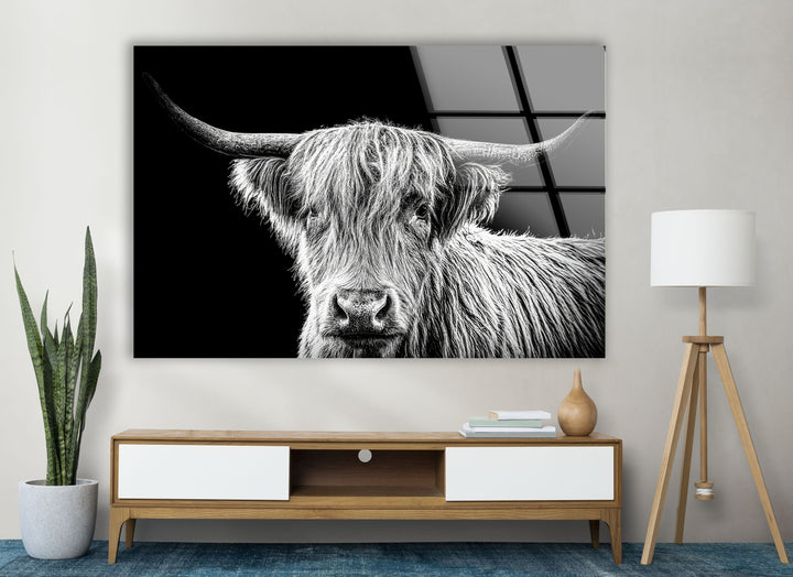 Highland Scottish Cow Glass Wall Art photo print on glass, prints on glass wall art