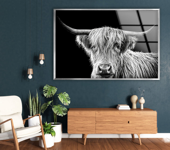 Highland Scottish Cow Glass Wall Art large glass photo prints, glass wall photos