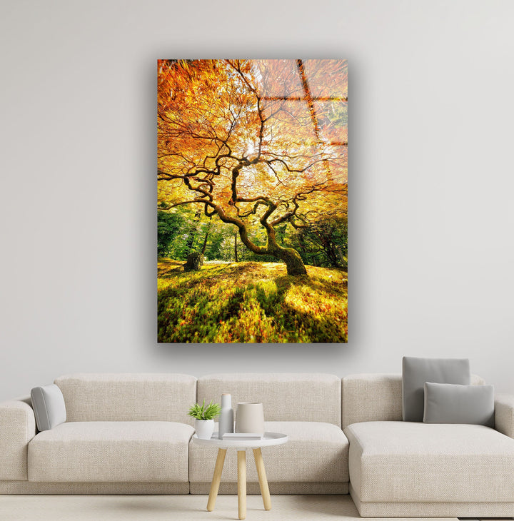 Japanese Garden Glass Wall Art large glass photo prints, glass wall photos