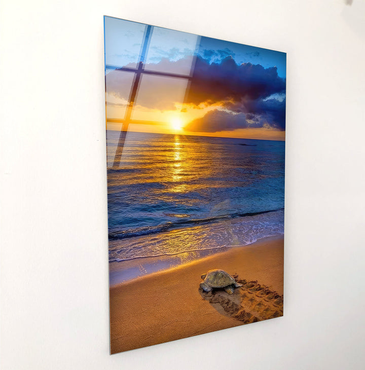 Sunset Sea Turtle Glass Wall Art glass photo prints, glass picture prints