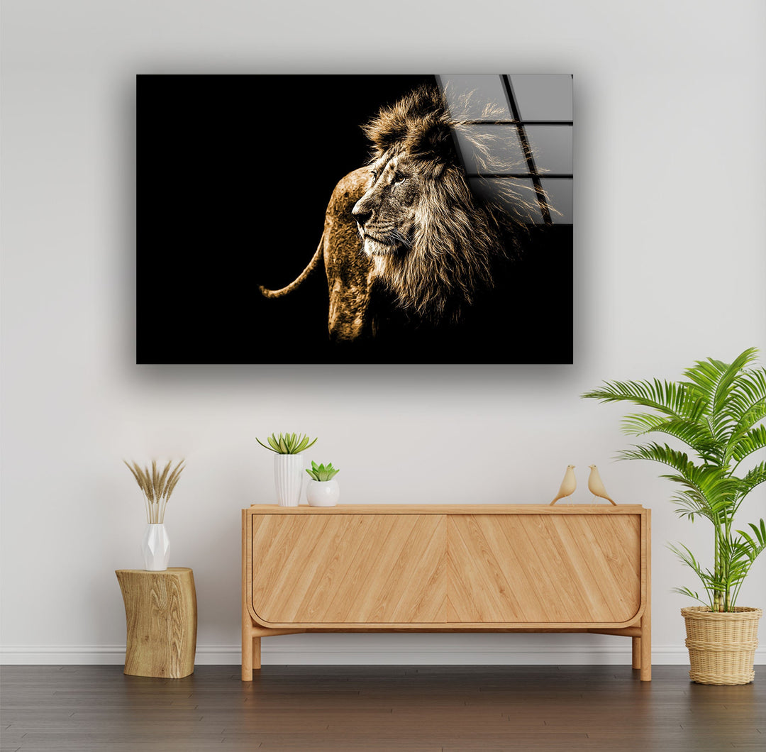 Old Wild Lion Glass Wall Art print on glass, glass printed photos