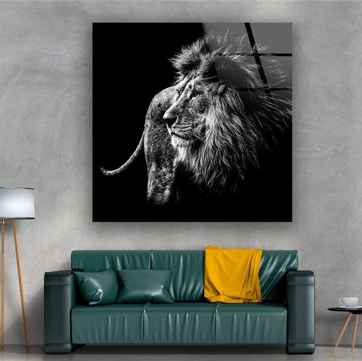 Black White Wild Animal Glass Wall Art glass photo prints, glass picture prints