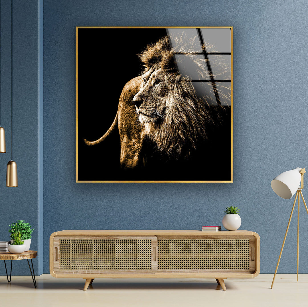 Old Wild Lion Glass Wall Art print picture on glass, Tempered Glass Wall Art