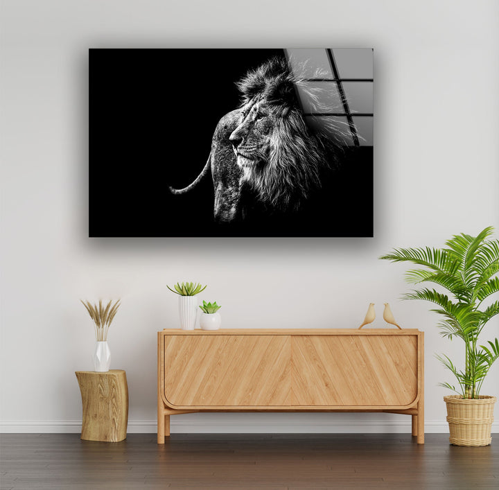 Black White Wild Animal Glass Wall Art print picture on glass, Tempered Glass Wall Art