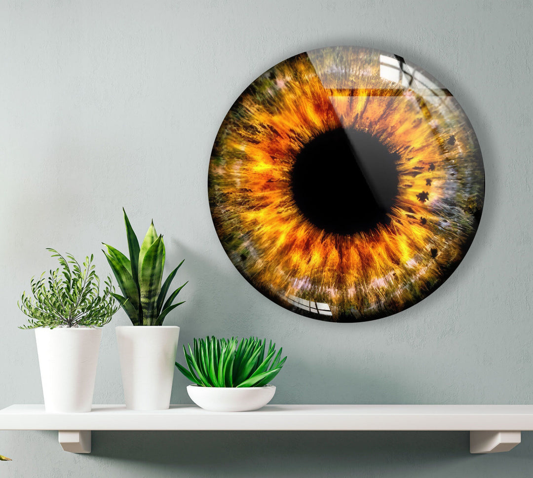 Orange Eye Round Glass Wall Art photo print on glass, prints on glass wall art