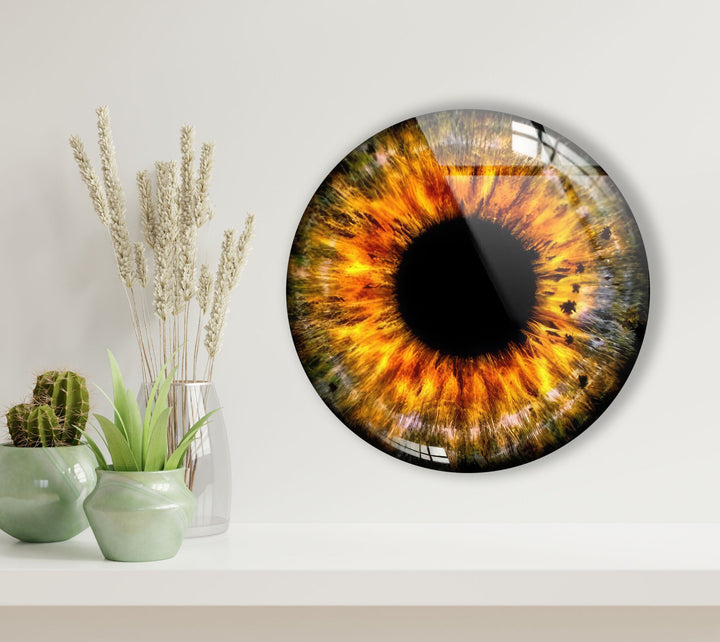 Orange Eye Round Glass Wall Art glass photo prints, glass picture prints