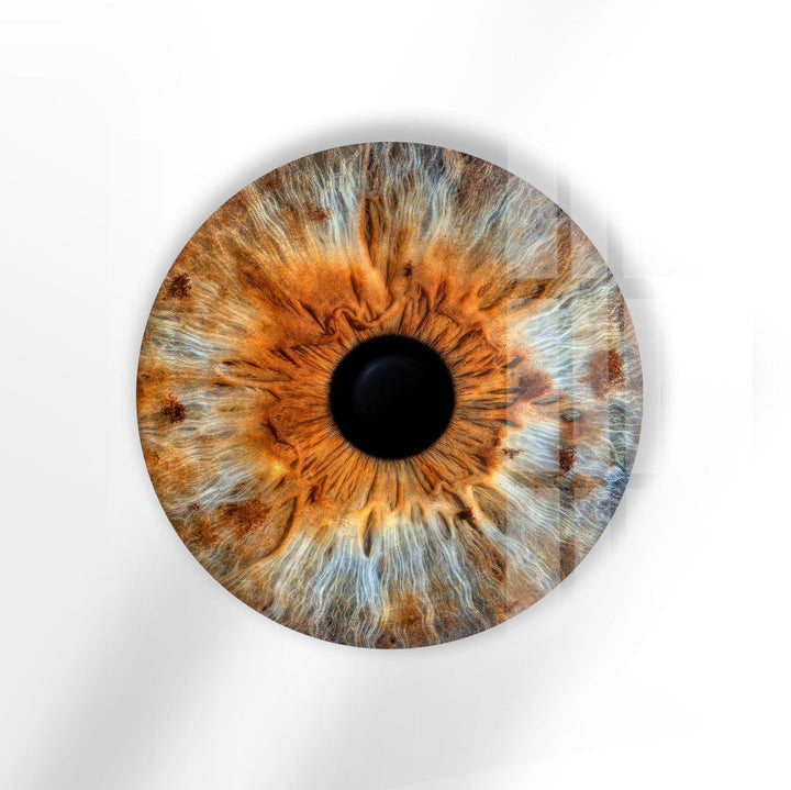 Brown Eye Round Glass Wall Art Glass Printing Wall Art, Print photos on glass
