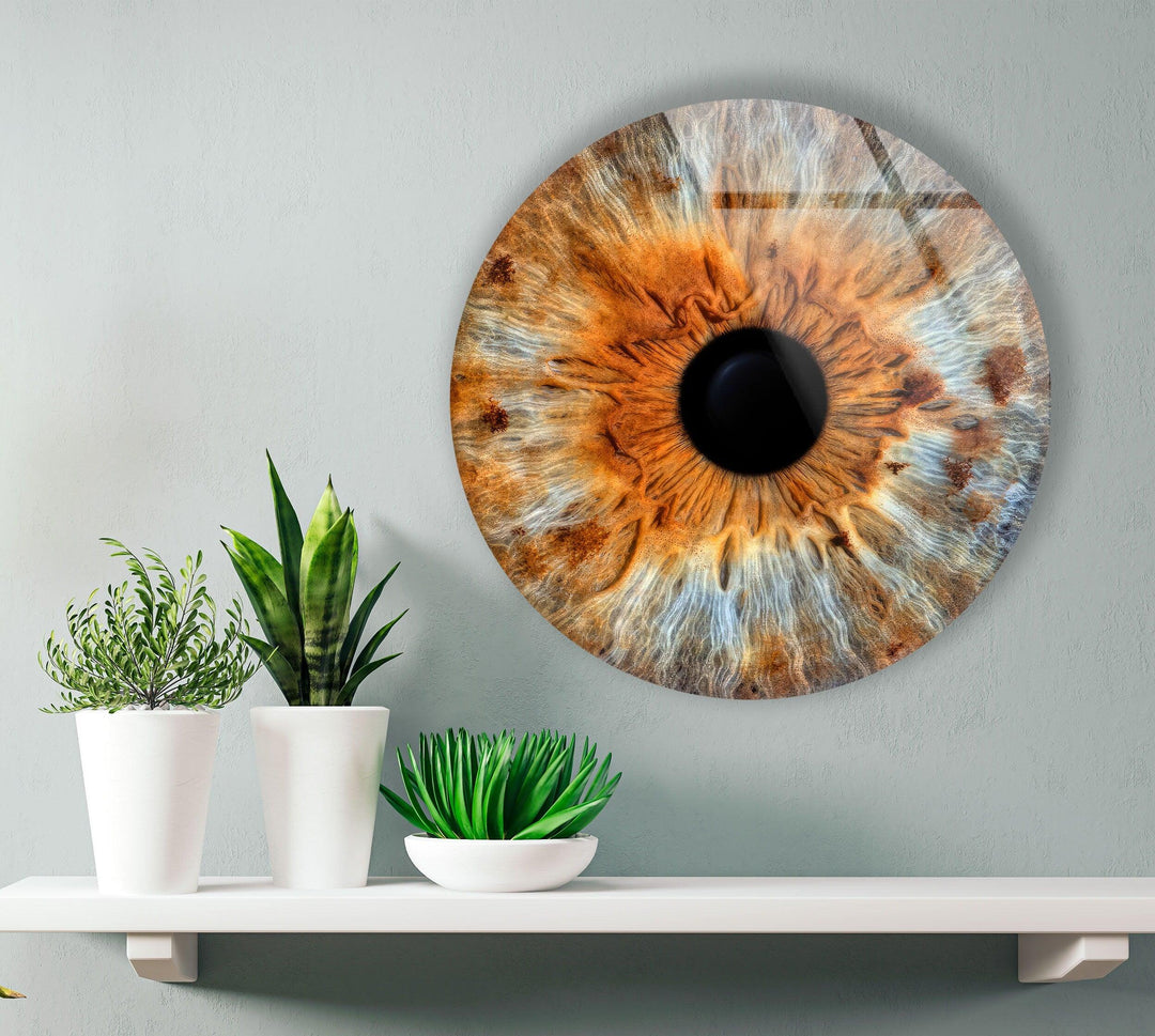 Brown Eye Round Glass Wall Art photo print on glass, prints on glass wall art
