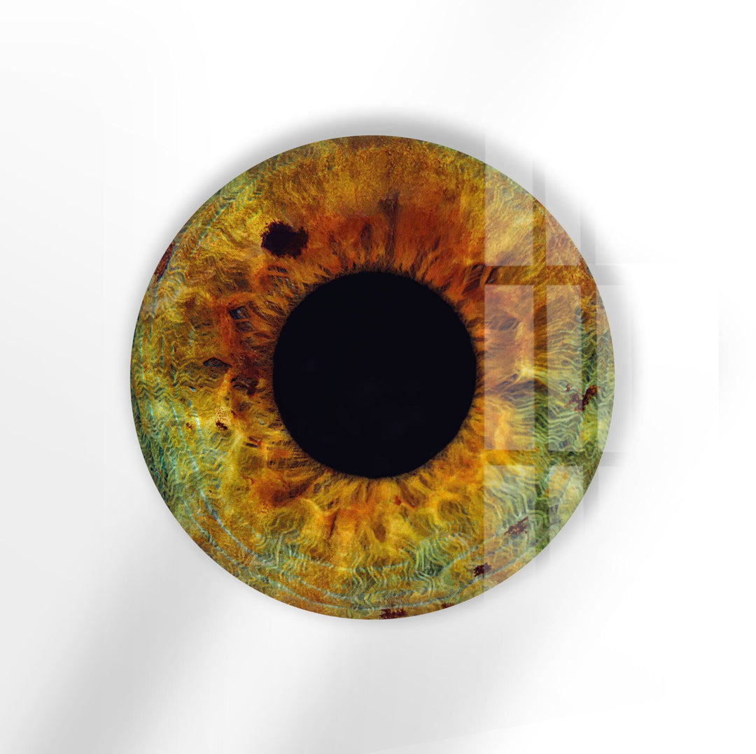 Eye Round Brown Glass Wall Art picture on glass wall art, photos printed on glass
