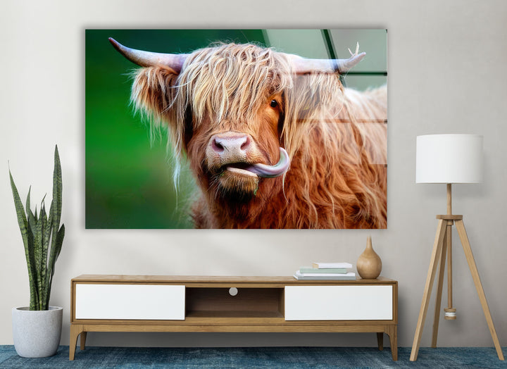 Highland Cow Glass Wall Art glass image printing, glass prints from photos