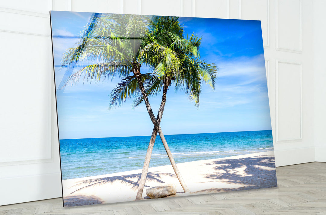 Sand Island Coconut Tree Glass Wall Art large glass photo prints, glass wall photos