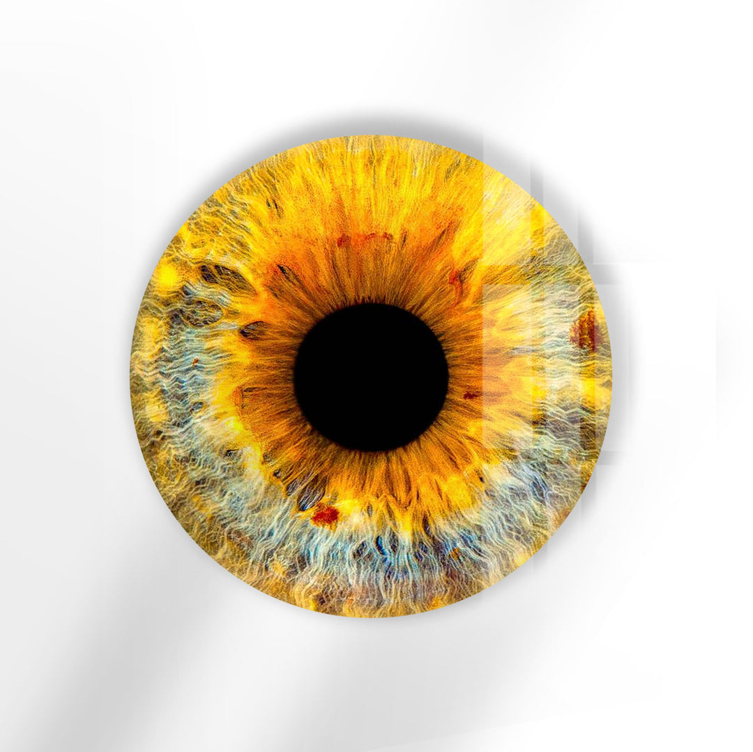 Yellow Eye Round Glass Wall Art art glass wall art, glass wall art pictures
