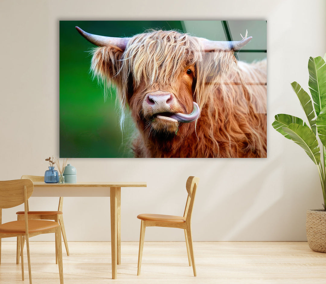 Highland Cow Glass Wall Art custom glass pictures, glass art prints