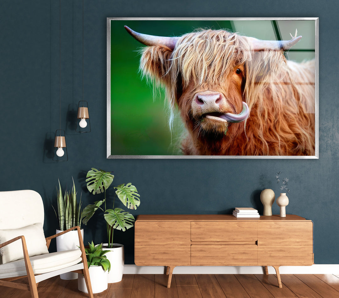 Highland Cow Glass Wall Art custom glass photo prints, large glass prints