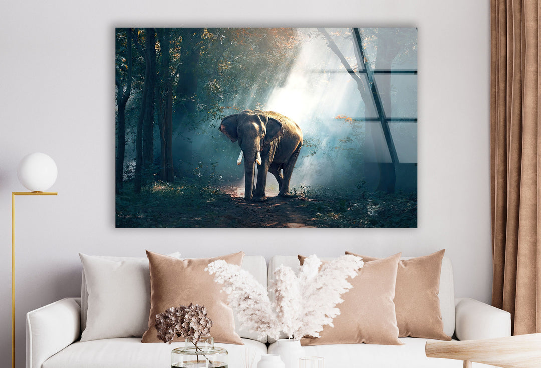 Elephant in Nature Glass Wall Art glass photo prints, glass picture prints