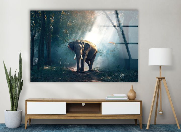 Elephant in Nature Glass Wall Art glass image printing, glass prints from photos