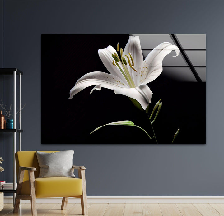 Solitary Stunning Lily Glass Wall Art, photo print on glass, prints on glass wall art