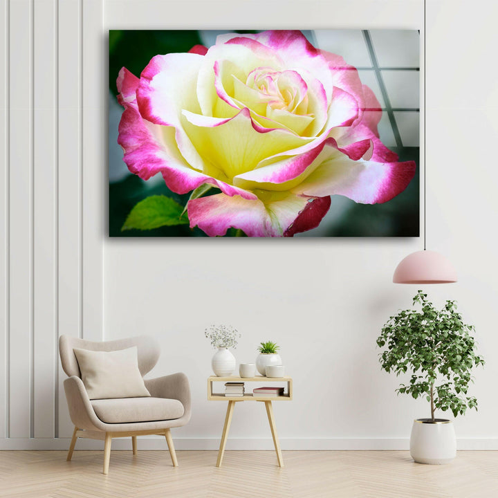 Vivid Yellow Rose Glass Wall Art, picture on glass wall art, photos printed on glass