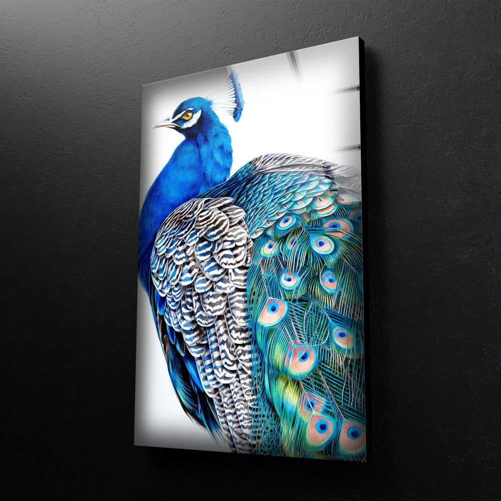 Peacock Portrait Glass Wall Art print picture on glass, Tempered Glass Wall Art