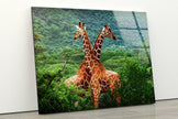 Giraffe in Forest Glass Wall Art custom glass photo prints, large glass prints