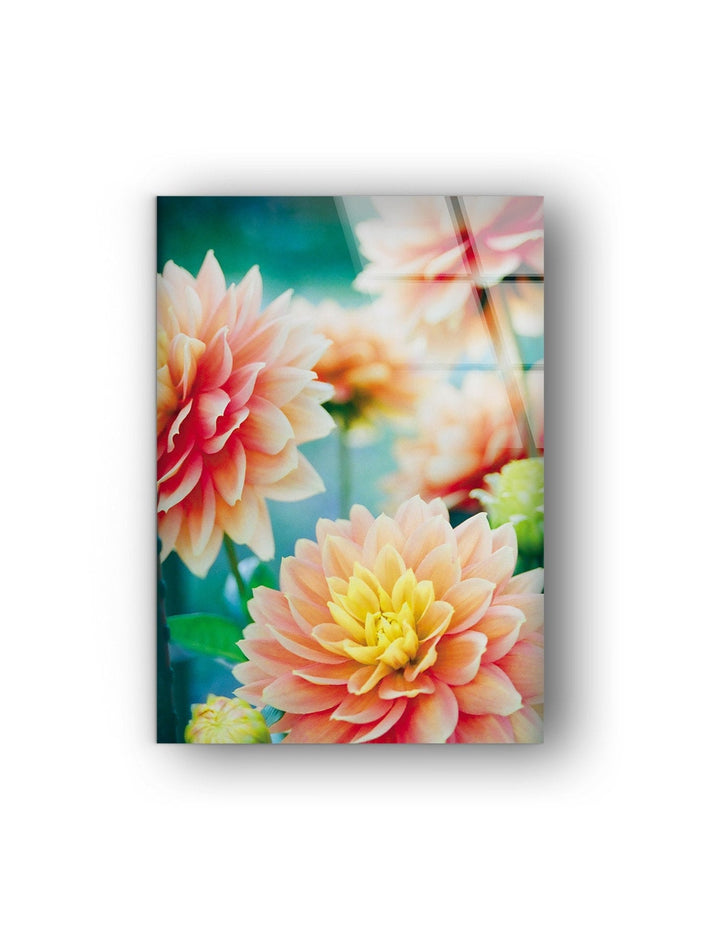 Dahlia Flowers Glass Wall Art, custom glass photo prints, large glass prints