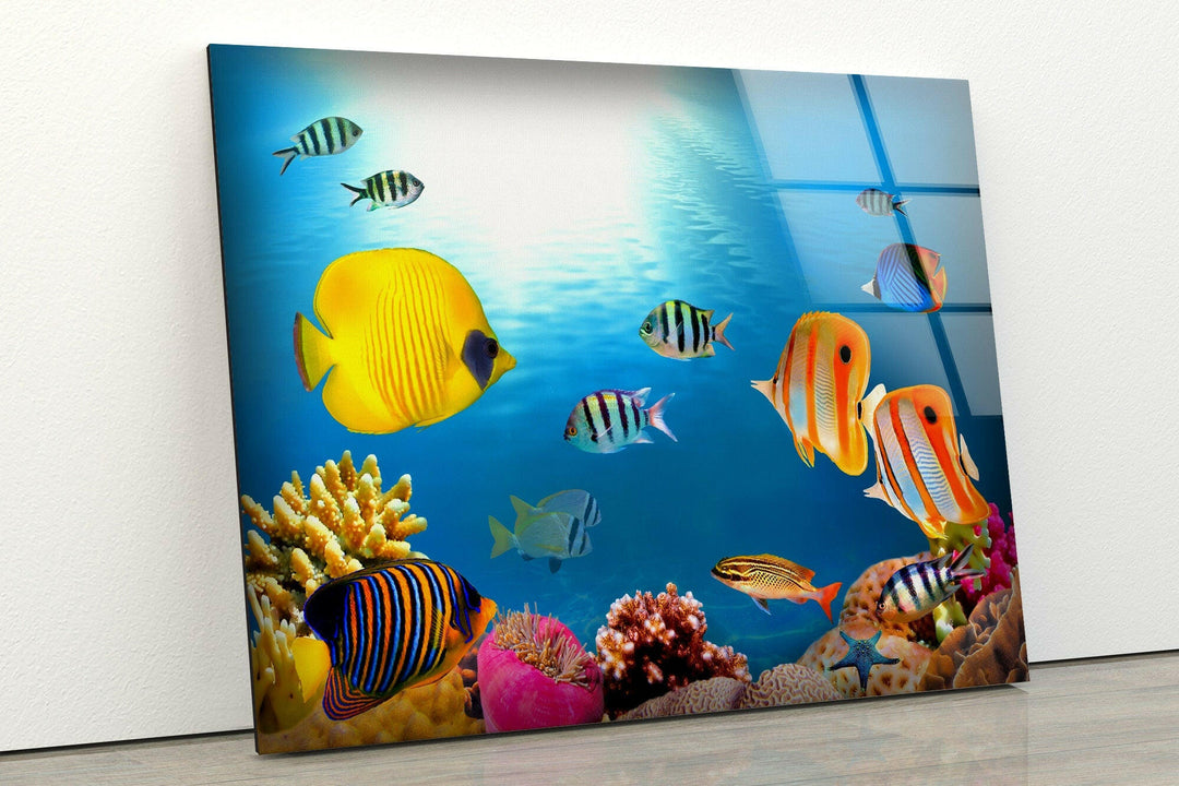 Tropical Fishes Glass Wall Art custom glass photo prints, large glass prints