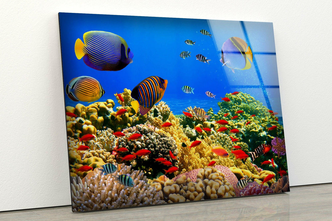 Fish at Aquarium Tempered Glass Wall Art - MyPhotoStation