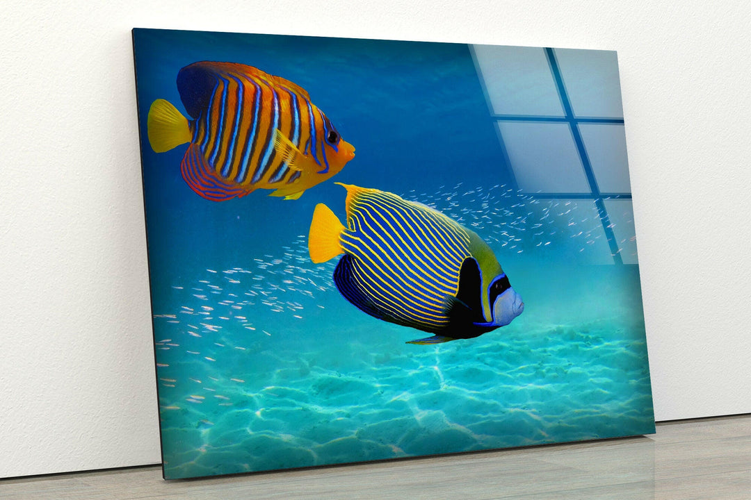 Underwater Fishes And Aquarium Large Glass Wall Art Prints